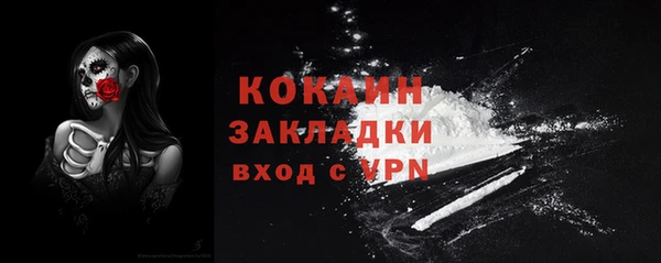 соль ск Арсеньев