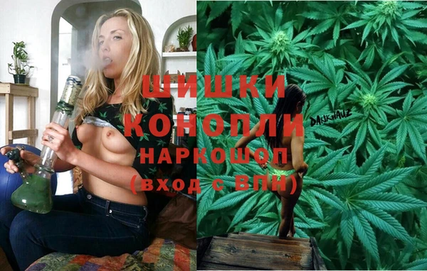 соль ск Арсеньев