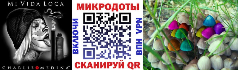 Псилоцибиновые грибы Magic Shrooms  Снежинск 