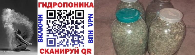 KRAKEN ССЫЛКА  Снежинск  Марихуана гибрид  сколько стоит 